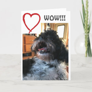 CARTE **WOW** ET **QUI** C'EST VOTRE ANNIVERSAIRE