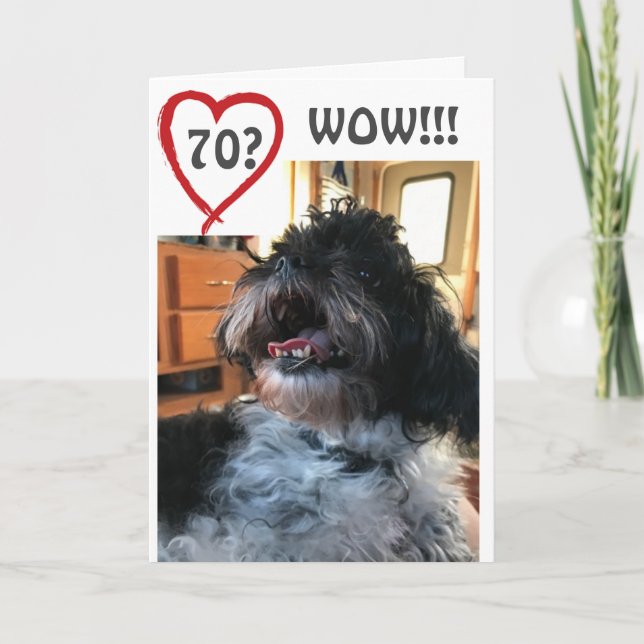 Carte **WOW** ET **WHOO OMS** YOUR **70th**BIRTHDAY (Devant)