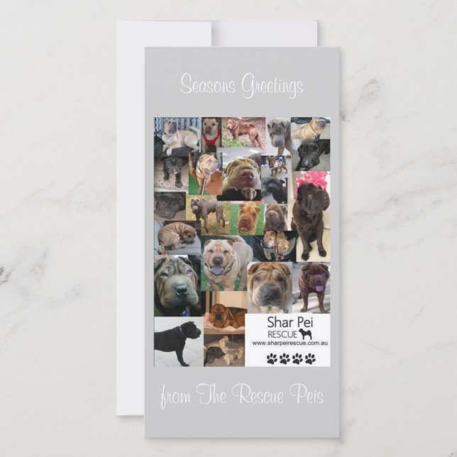 Carte Xmas Secourt Shar Pei (Devant)