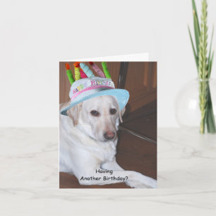 Carte Yellow Labrador Retriever à Birthday Hat