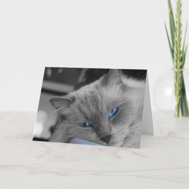 Carte Yeux bleus (Devant)