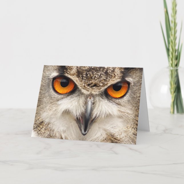 Carte Yeux de hibou, yeux de la photographie de duc (Devant)