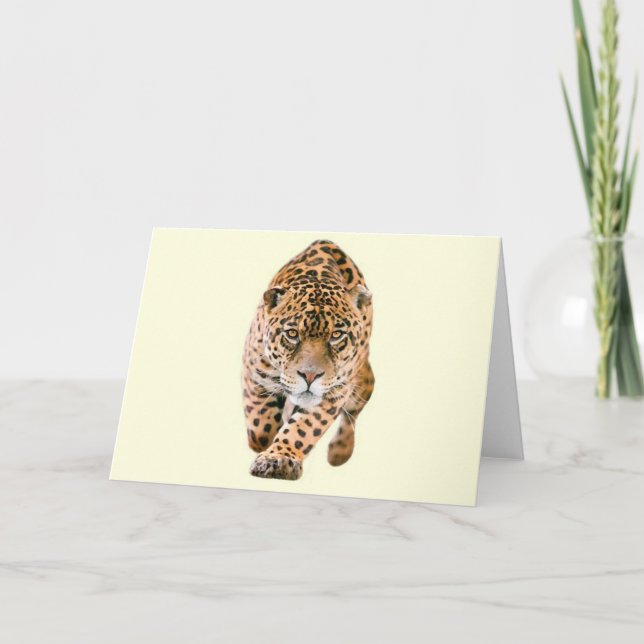 Carte Yeux de marche de Jaguar (Devant)