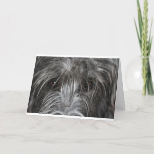 Carte Yeux qui hypnotisent