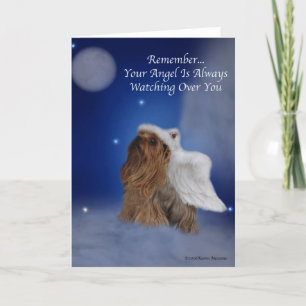 Carte Yorkie Angel Star