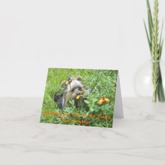 Carte Yorkie Cartes-Tout Ce Que Vous Pouvez Faire Mon Yo