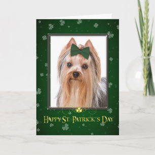 Carte Yorkie Saint-Patrick