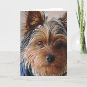 Carte Yorkie Terrier Greeting Card