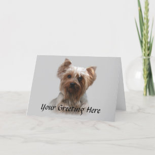 Carte Yorkshire Terrier