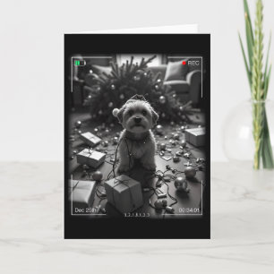 Carte Yorkshire Terrier de Noël pris en photo