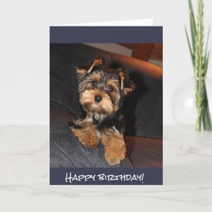 Carte Yorkshire Terrier mignon, joyeux anniversaire !