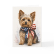 Yorkshire Terrier patriotique - Yorkie 4 juillet