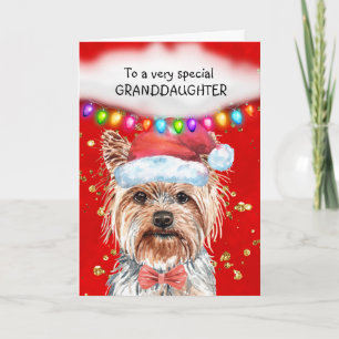 Carte Yorkshire terrier petite-fille mignonne voeux Noël