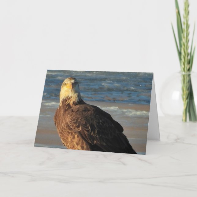 Carte Young Bald Eagle on the Beach Birthday Card (Devant)