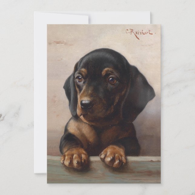 Carte Young Dachshund | Carl Reichert (Devant)