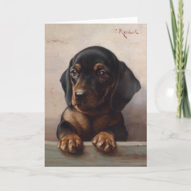 Carte Young Dachshund | Carl Reichert (Devant)