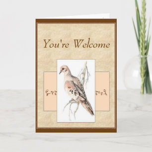 Carte You're Welcome Mourning Dove, Turtle Dove
