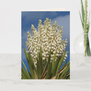 Carte Yucca en fleurs, Fleurs, Southwest Blank Greeting