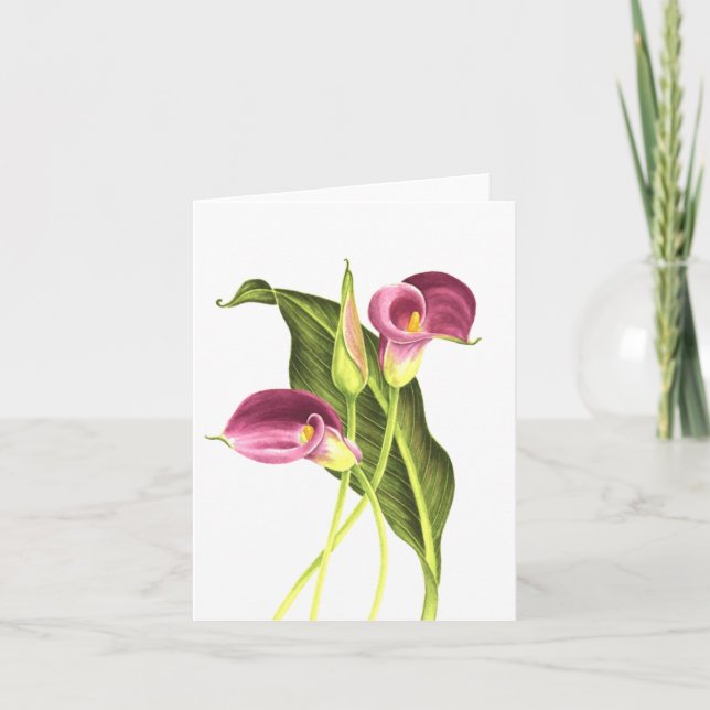 Carte Zantedeschia (Devant)