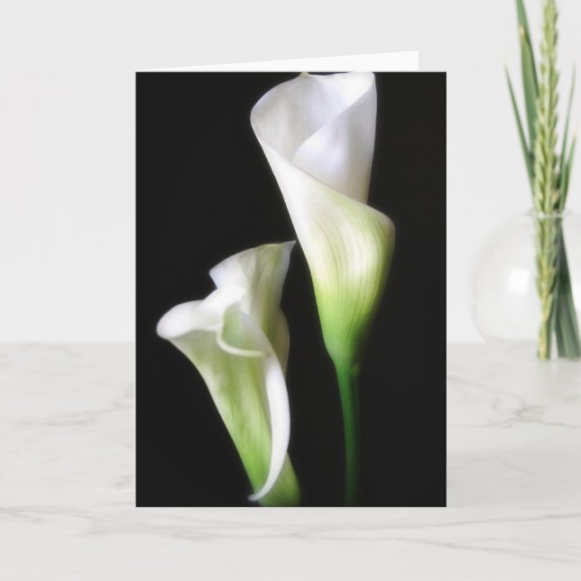 Carte Zantedeschia 2 (Devant)