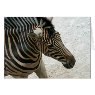 Carte Zebra