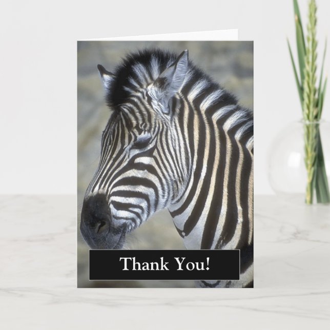 Carte Zebra Merci (Devant)
