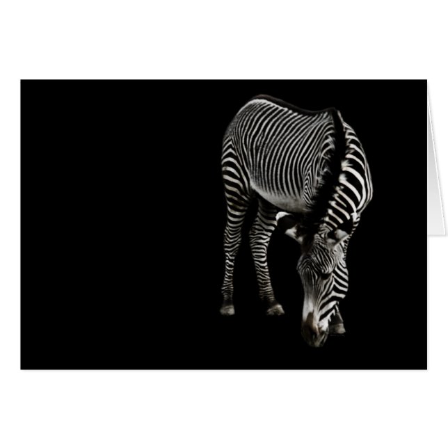 Carte Zebra P4435 (Devant Horizontal)