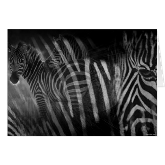 Carte Zebras (Devant horizontal)