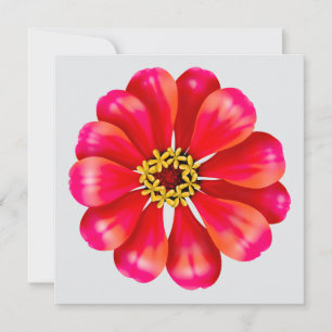 Carte Zinnia rose