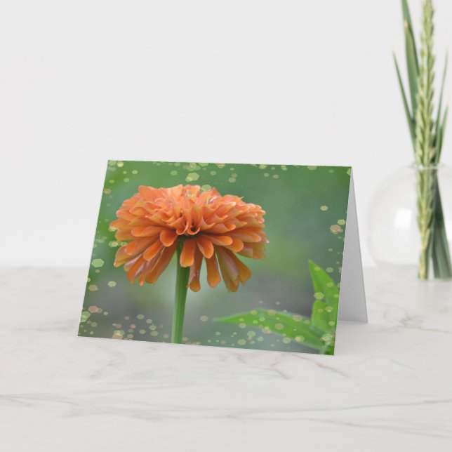 Carte Zinnia Zazzled (Devant)
