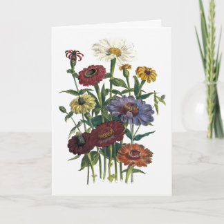 Carte Zinnias Watercolor