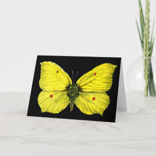 Carte Zitronenfalter