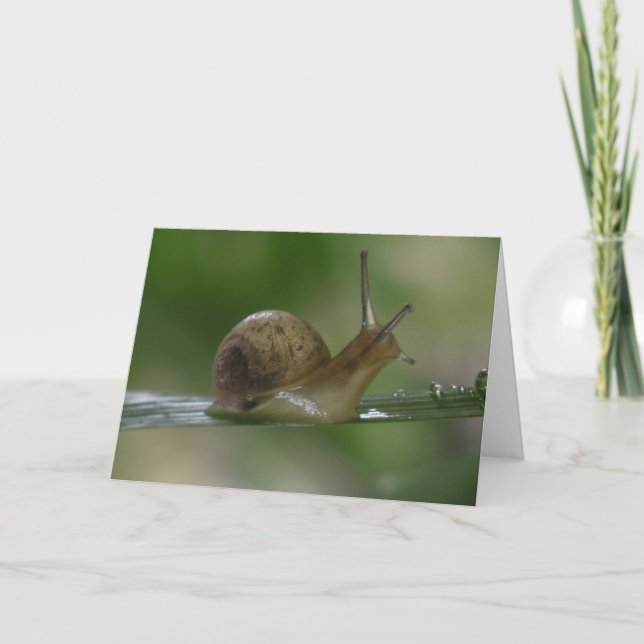 Carte Zut ! Encore en retard. (Devant)