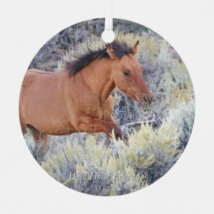 Carter Colt, Wild Horse Ornament