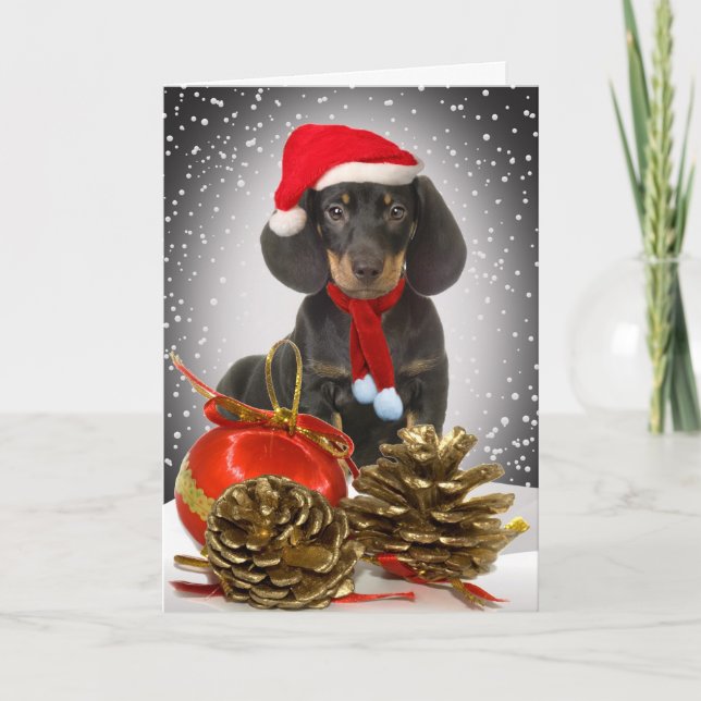 Cartes à col de Noël Dachshund (Devant)