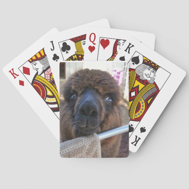 Cartes à jouer Alpaca (dos)