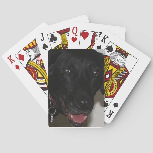 Cartes à jouer Black Lab (dos)