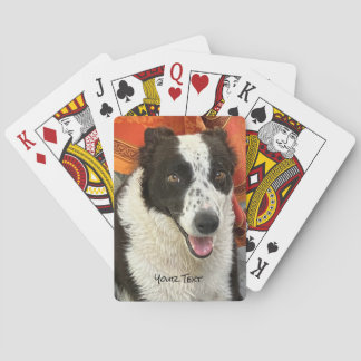 Cartes à jouer Border Collie noir et blanc