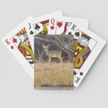 Cartes à jouer Cerfs dans le fourré