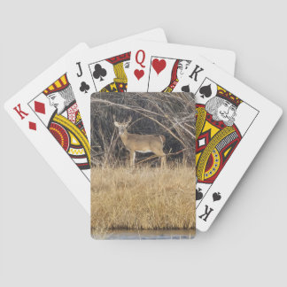 Cartes à jouer Cerfs dans le fourré