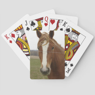 Cartes à jouer de cheval