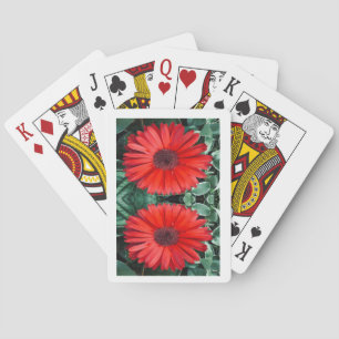 Cartes à jouer florales Orange Daisy