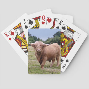 Cartes à jouer Highland Cow