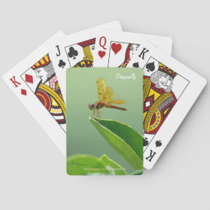 Cartes à jouer libellule orange