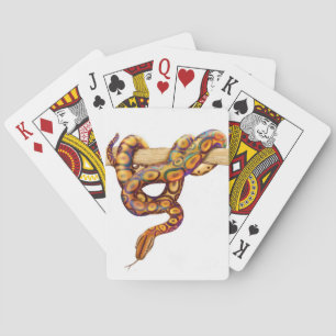 Cartes à jouer Serpent Boa arc-en-ciel brésilien