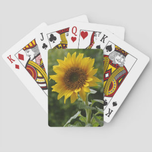 Cartes à jouer Superbe Tournesol