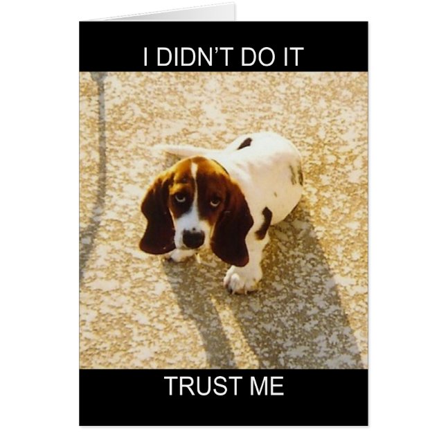 Cartes Bassett Hound (Devant)