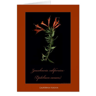Cartes botaniques d'impression de la Californie