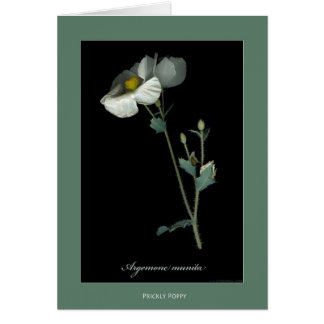 Cartes botaniques d'impression de pavot épineux