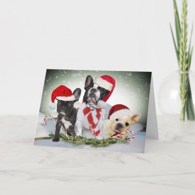 Cartes Bouledogue Français laisse tomber la neige (Devant)